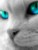 Awatar mieszkańca